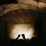 Nathan Brooks profile